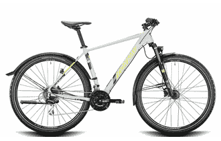 CONWAY MC 4.9 - 29 Zoll 24K Diamant - lightgrey matt / acid metallic