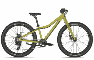 Scott Roxter 24 green - 24 Zoll 8K Diamant - Savana Green