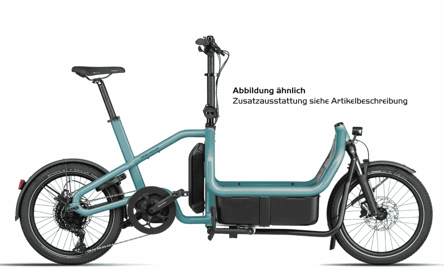 Riese und Müller Carrie touring - 20 Zoll 725Wh 10K Lastenrad - Aqua