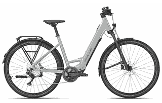 BULLS CROSS LITE EVO SX 1 - 29 Zoll 400Wh 10K Wave - alpine grey