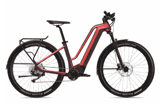 Flyer Goroc2 2.10 - 29 Zoll 750Wh 10K Wave - Mercury Red Black Gloss