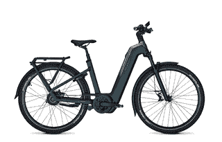 Kalkhoff ENTICE 5+ ADVANCE BELT - 29 Zoll 800Wh Enviolo Wave - darksprings / jetgrey matt