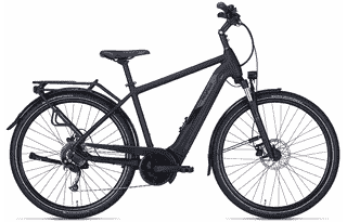PEGASUS Solero Evo 9 - 28 Zoll 625Wh 9K Diamant - black matt