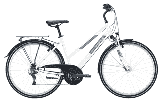 PEGASUS Avanti 18 - 28 Zoll 18K Trapez - white