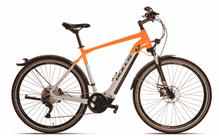 BULLS Cross Rider EVO 1 - 29 Zoll 625Wh 10K Diamant - light grey/orange