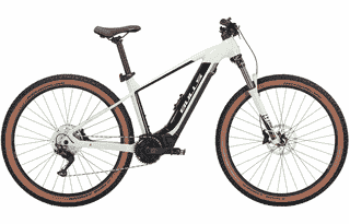 BULLS E-Stream EVO 1 29 - 29 Zoll 740Wh 10K Diamant - pistachio / black