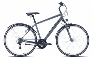 PEGASUS Avanti Sport 18 - 28 Zoll 18K Diamant - graphite grey