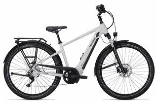 PEGASUS Savino Evo 10 CX - 28 Zoll 625Wh 10K Diamant - light grey