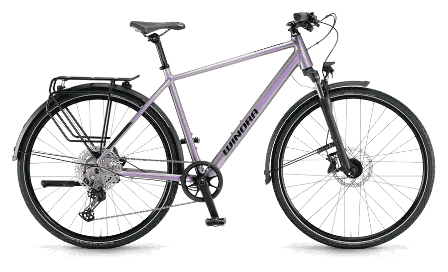 Winora Domingo 12 Pro - 28 Zoll 12K Diamant - Chameleon