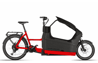 Riese & Müller Packster2 70 family - 20/26 Zoll 625Wh 10K Lastenrad - Chili Matt
