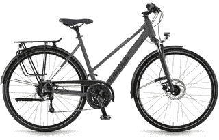 Winora Domingo 27 - 28 Zoll 27K Trapez - Microchip Grey matt