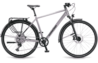 Winora Domingo 12 Pro - 28 Zoll 12K Diamant - Chameleon