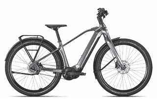 BULLS STURMVOGEL EVO - 29 Zoll 800Wh 3N Diamant - metallic off-white